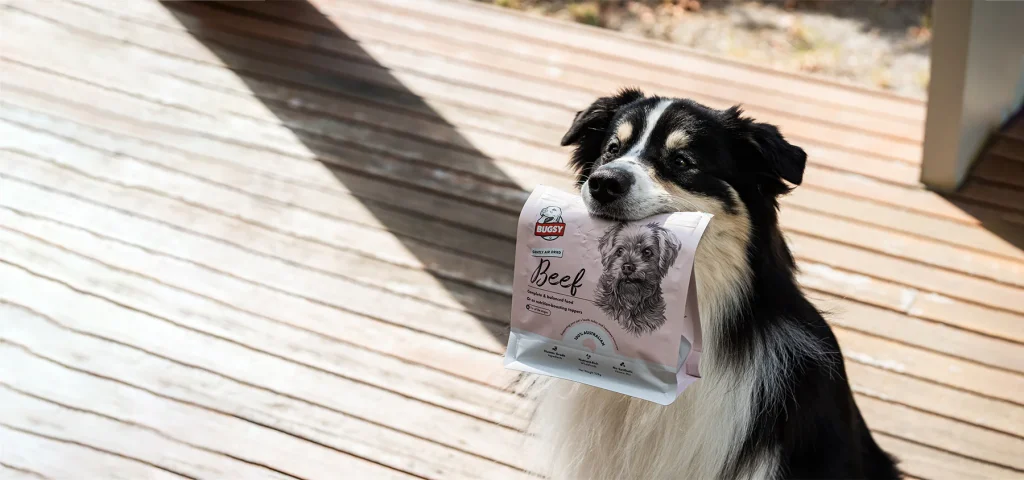 dogholdingbugsys